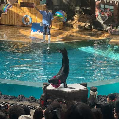 Safari World