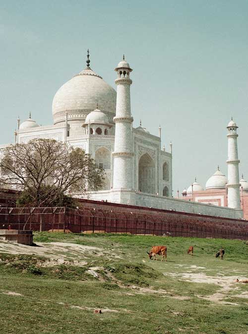 TAJ MAHAL & THE TREASURES OF INDIA